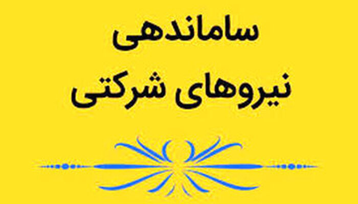 پیگیری اجرای دستور پزشکیان برای ساماندهی نیروهای شرکتی توسط مجلس