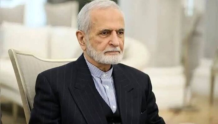 دکتر سید کمال خرازی به شهادت رسید