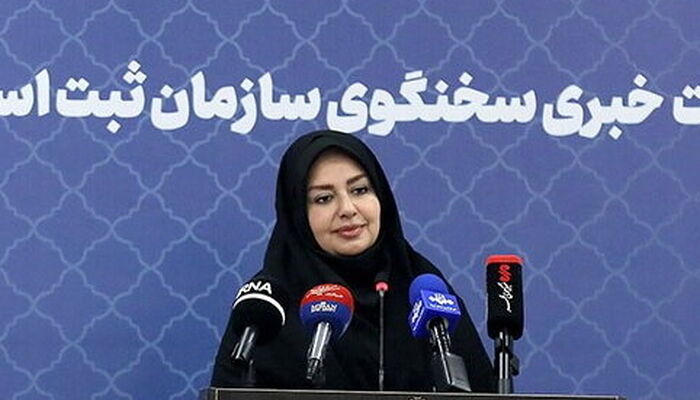 الزامات قانونی ثبت ادعا در سامانه ساماندهی اسناد غیررسمی از زبان سخنگوی سازمان ثبت