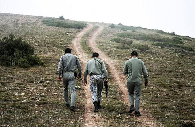 از هر ۳ محیط‌بان کشته‌شده تنها یک نفر شهید محسوب می‌شود
