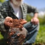 نسق زراعی یا نسق زارعانه به چه معناست؟