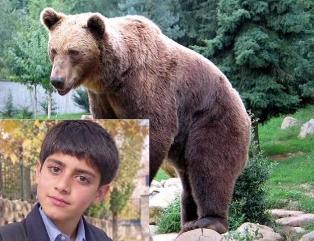 ورود دستگاه قضایی به پرونده جان باختن نوجوان ۱۴ ساله براثر حمله خرس در ساردوئیه