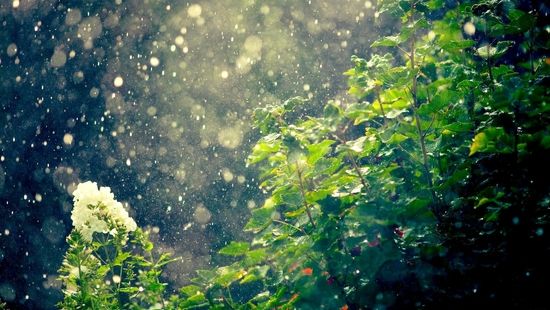 آسمان بارانی برخی استان‌ها تا پایان هفته