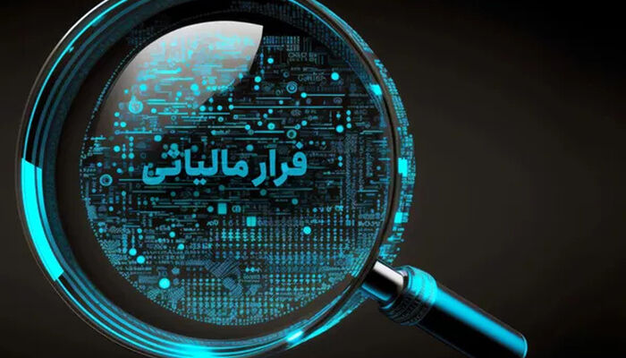 شناسایی و ردیابی شبکه‌های فرار مالیاتی با تکیه بر داده‌کاوی و الگوریتم‌های هوشمند