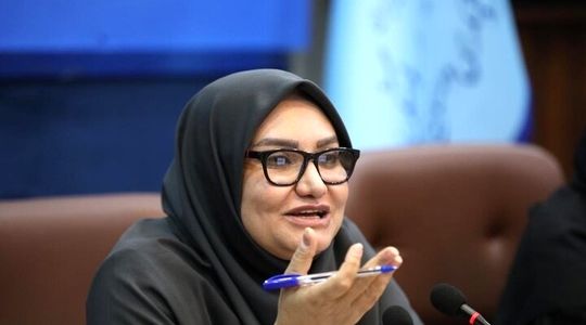 مدیرکل موزه‌های وزارت میراث: در جنگ غافلگیر شدیم
