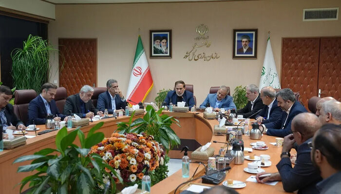 سازمان بازرسی خواستار بررسی نحوه واگذاری مدارس غیردولتی شد