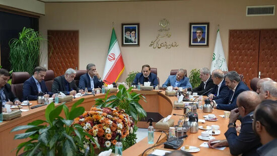 سازمان بازرسی خواستار بررسی نحوه واگذاری مدارس غیردولتی شد